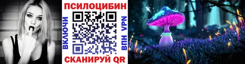 Псилоцибиновые грибы Psilocybine cubensis  Долгопрудный 
